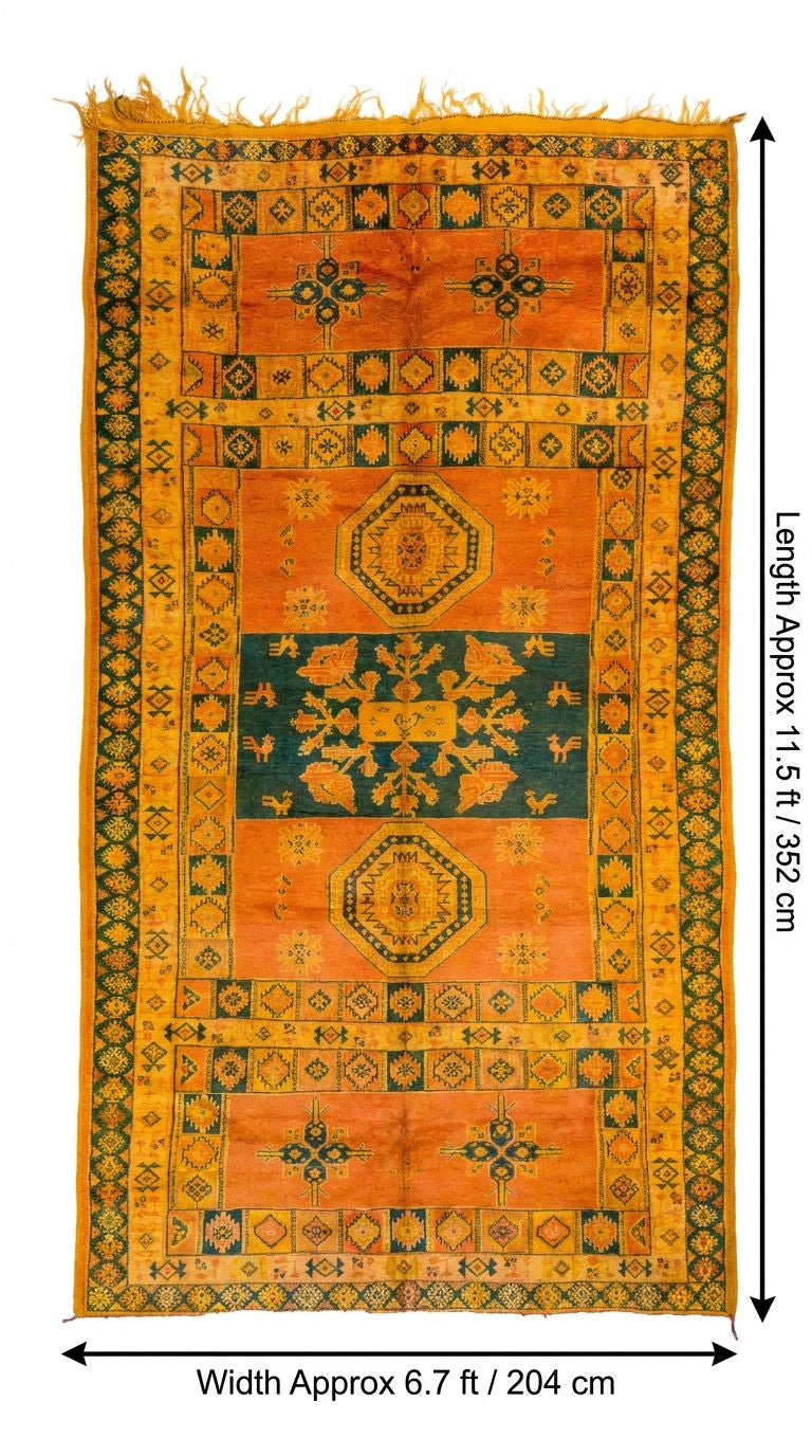 A vintage-style area rug with a geometric pattern, shown flat against a white background with dimension lines indicating a length of approximately 11.5 ft (352 cm) and a width of approximately 6.7 ft.
This one-of-a-kind 1970s vintage Moroccan wool rug was hand-knotted by a Berber woman artisan in the High Atlas Mountains of Morocco using traditional Taznakht rug-making techniques.
