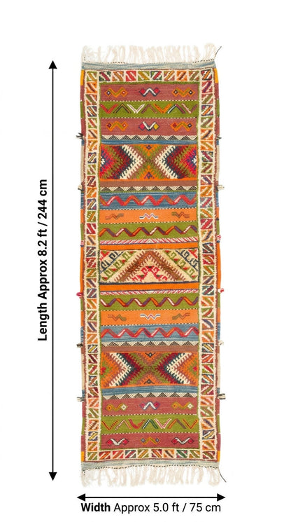 A colorful patterned rug shown flat against a white background with measurement arrows and text indicating a length of approximately 8.2 ft (244 cm) and a width of approximately 5 ft.